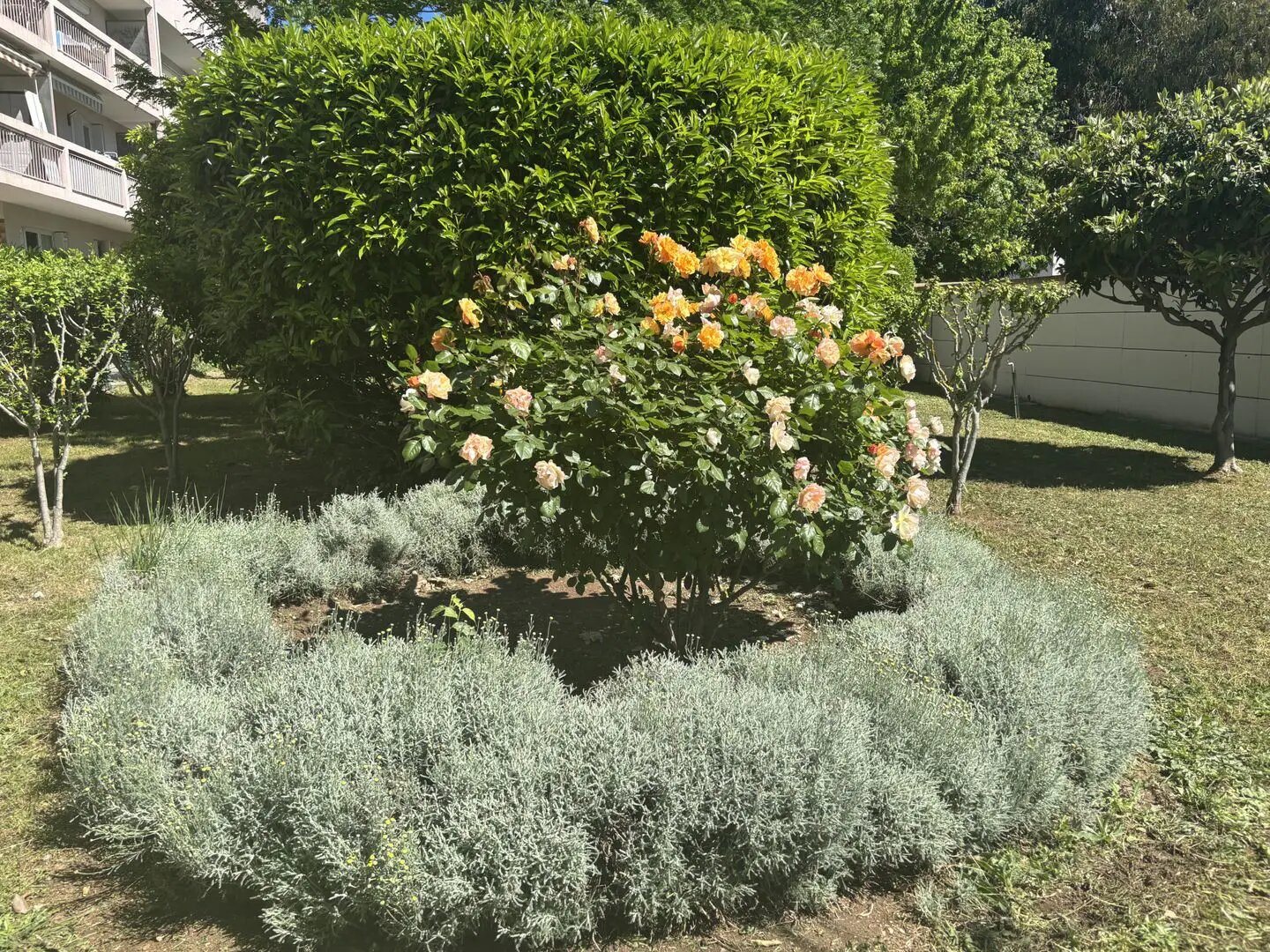 Appartement à vendre, 76m², Toulon