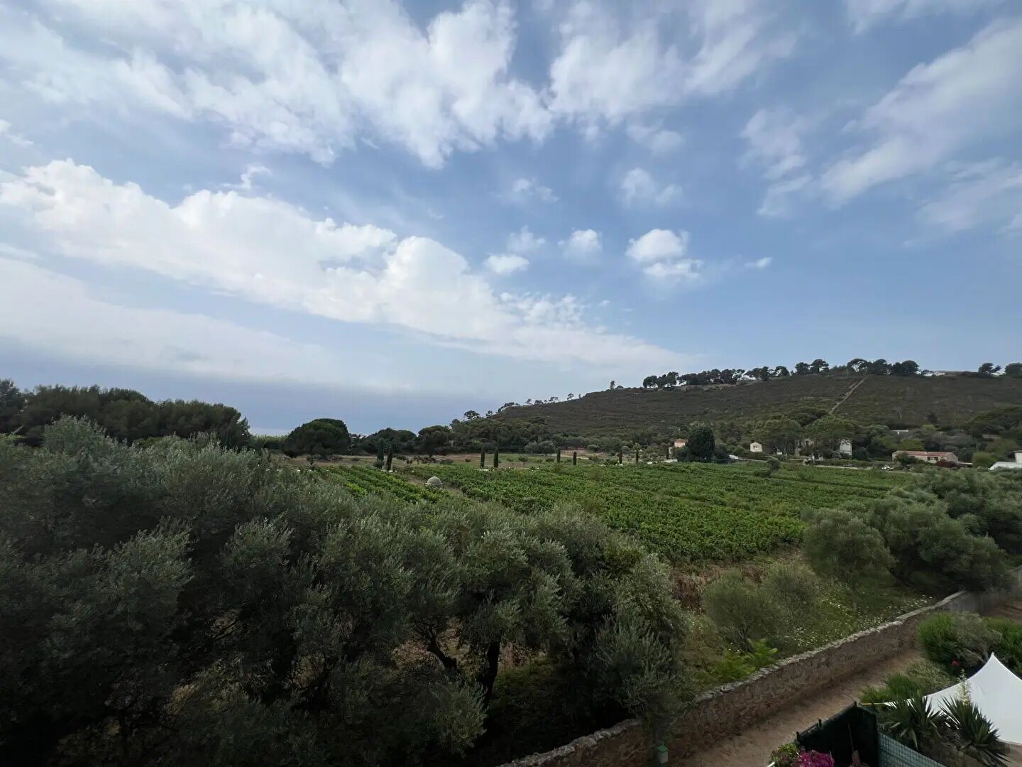 Appartement à louer, 51m², Saint-Mandrier-sur-Mer