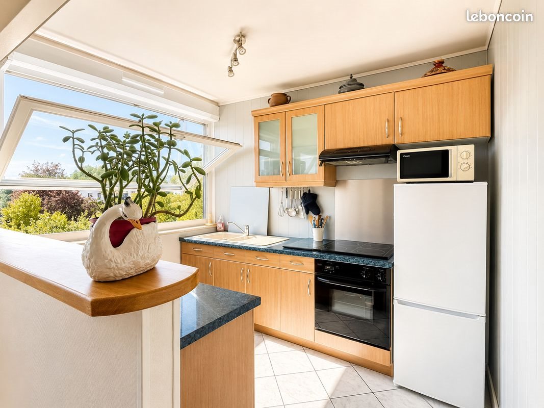Appartement à vendre, 56m², Nancy
