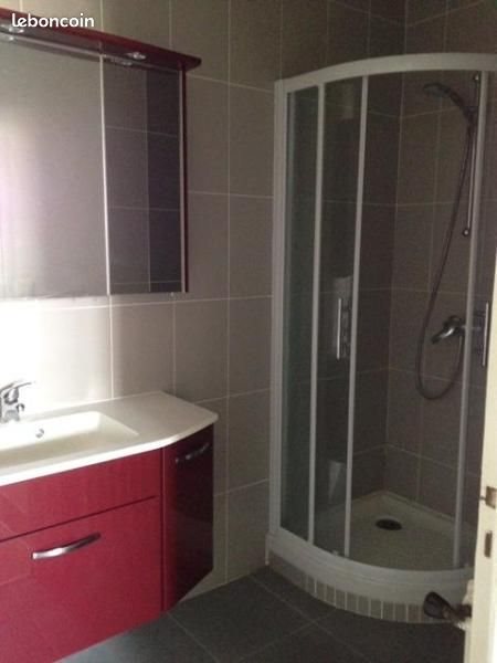Appartement à louer, 22m², Saint-Etienne