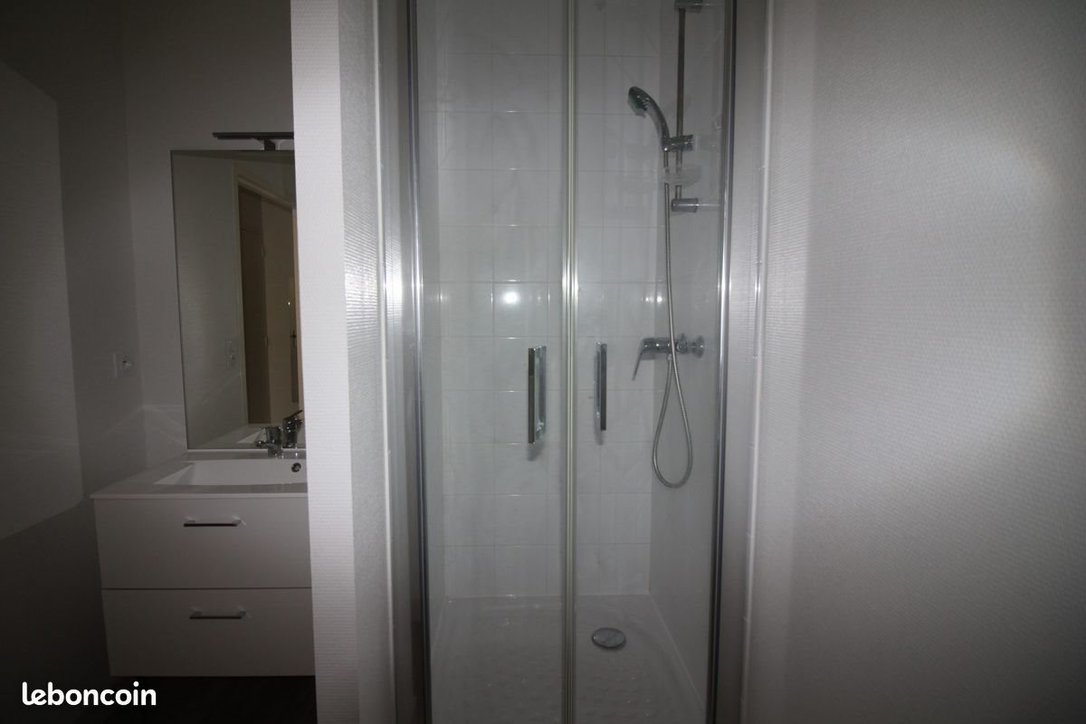 Appartement à louer, 33m², Saint-Etienne