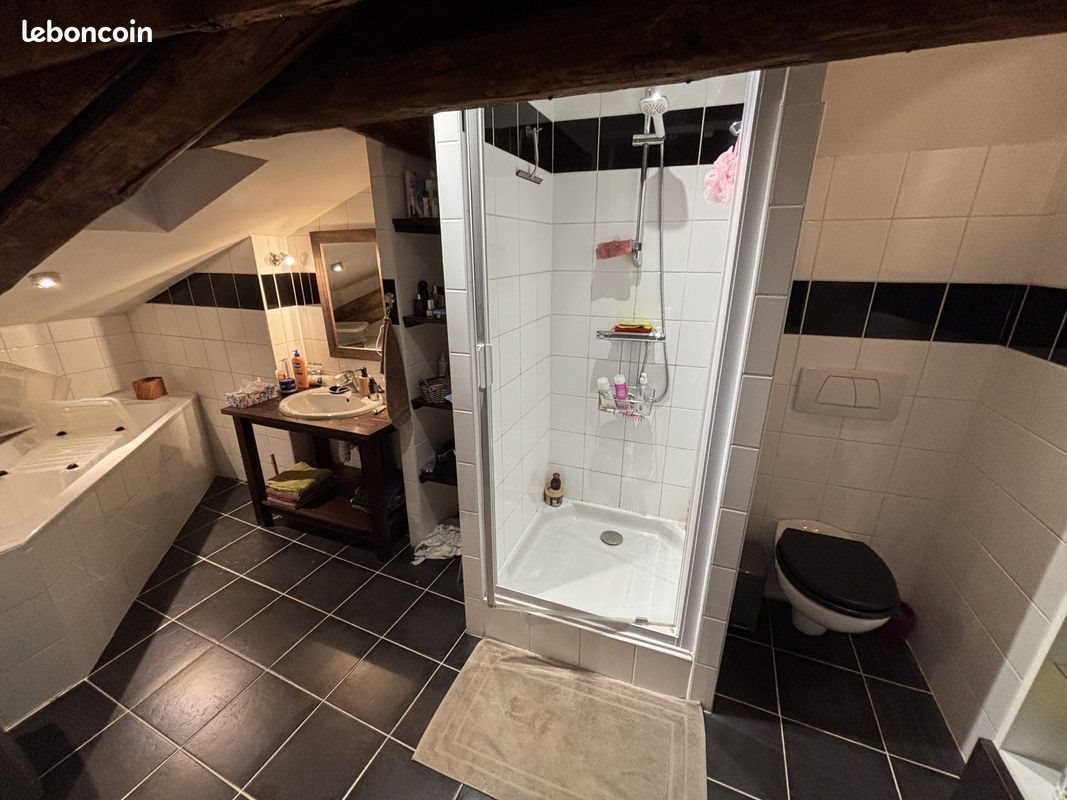 Appartement à louer, 99m², Saint-Etienne