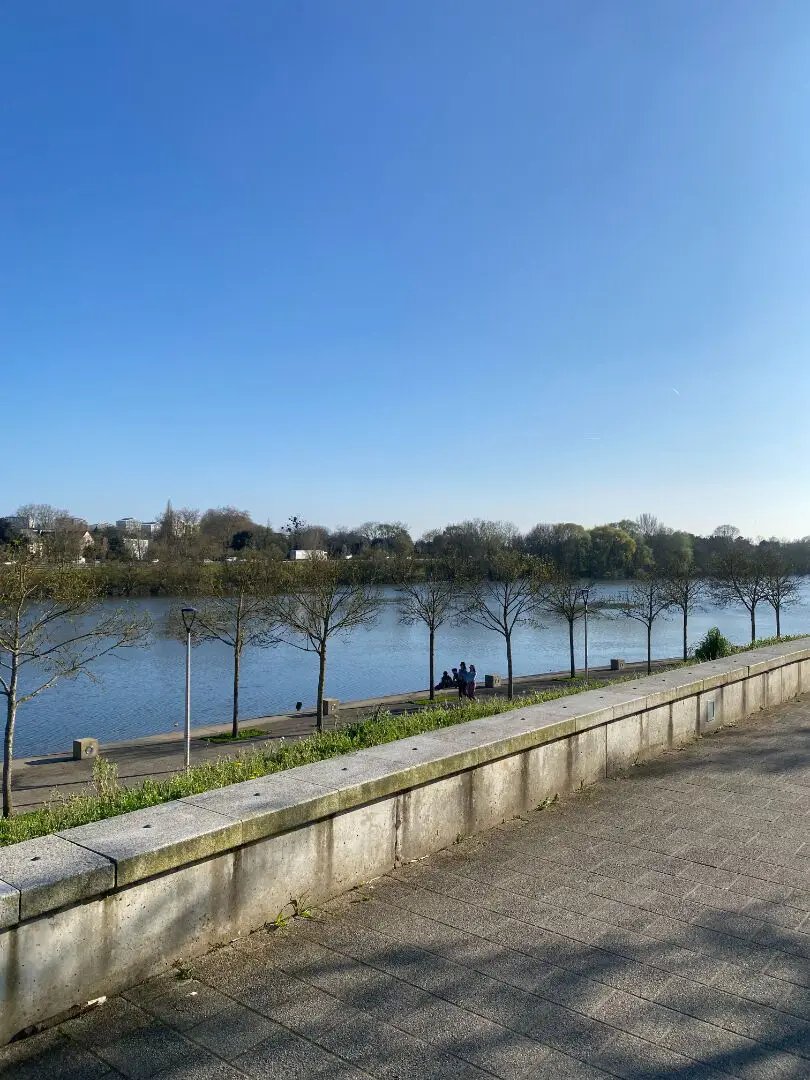 Appartement à louer, 63m², Angers