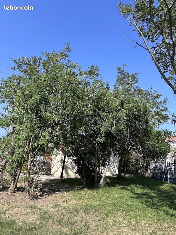 Maison à vendre, 40m², Le Barcarès