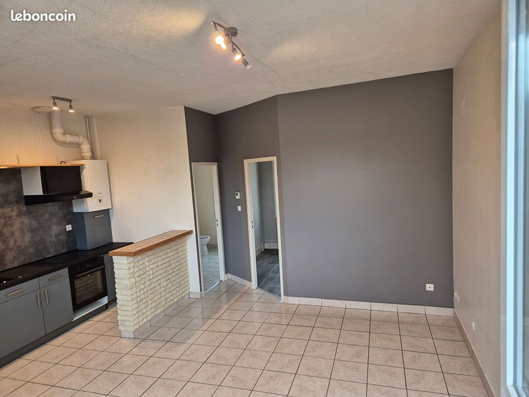 Appartement à vendre, 210m², Roanne