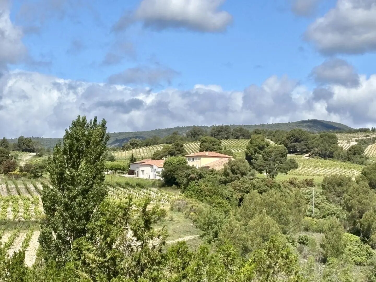 Maison à vendre, 494m², La Livinière