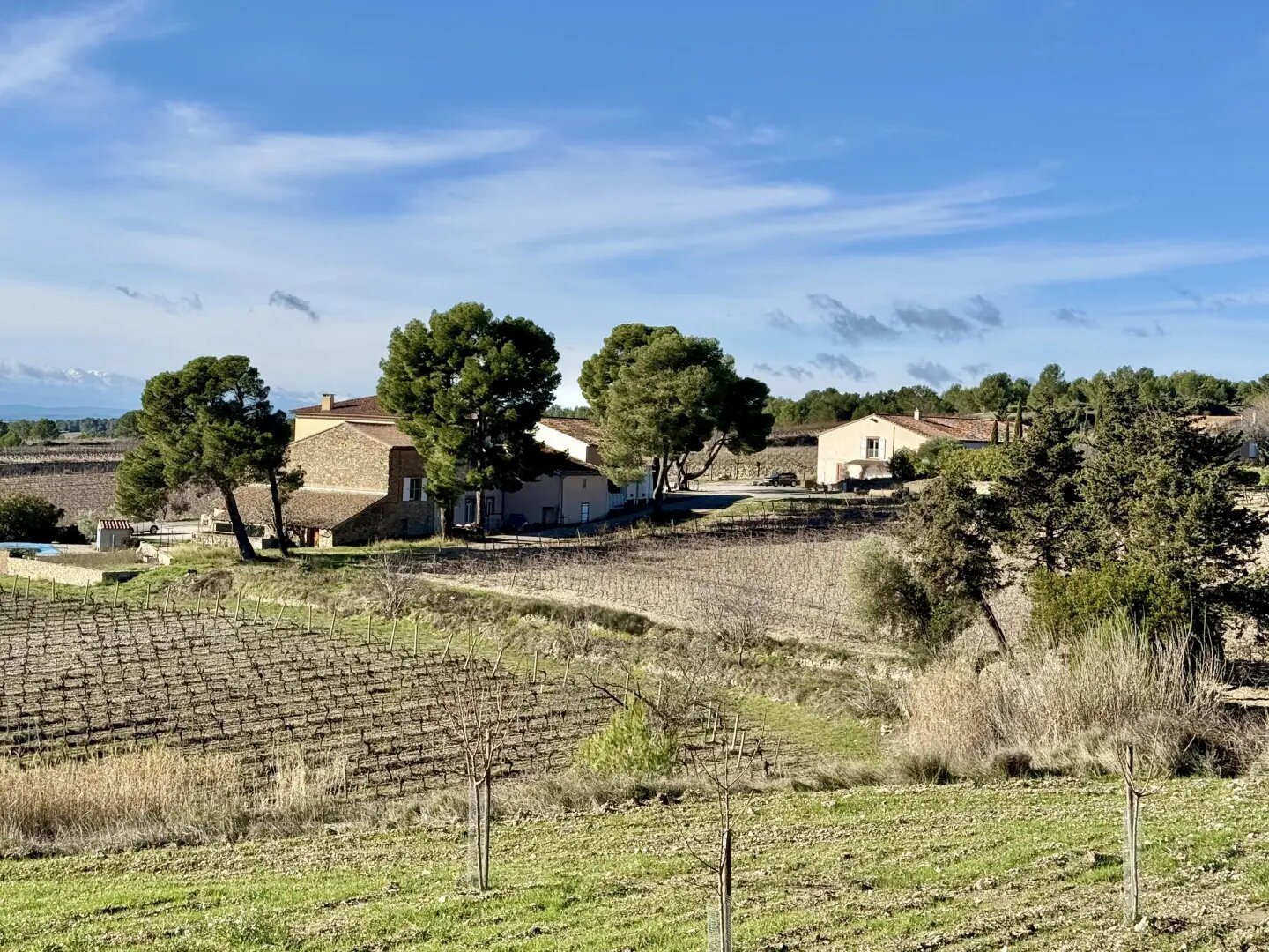 Maison à vendre, 494m², La Livinière