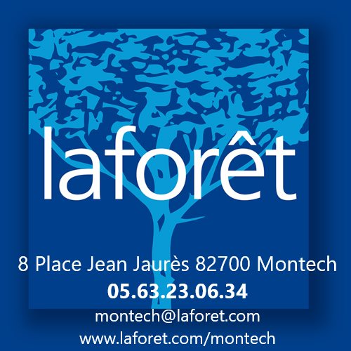 Appartement à louer, 38m², Montech