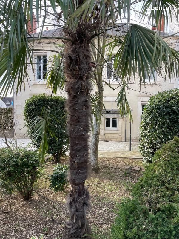Maison à vendre, 157m², Bourges