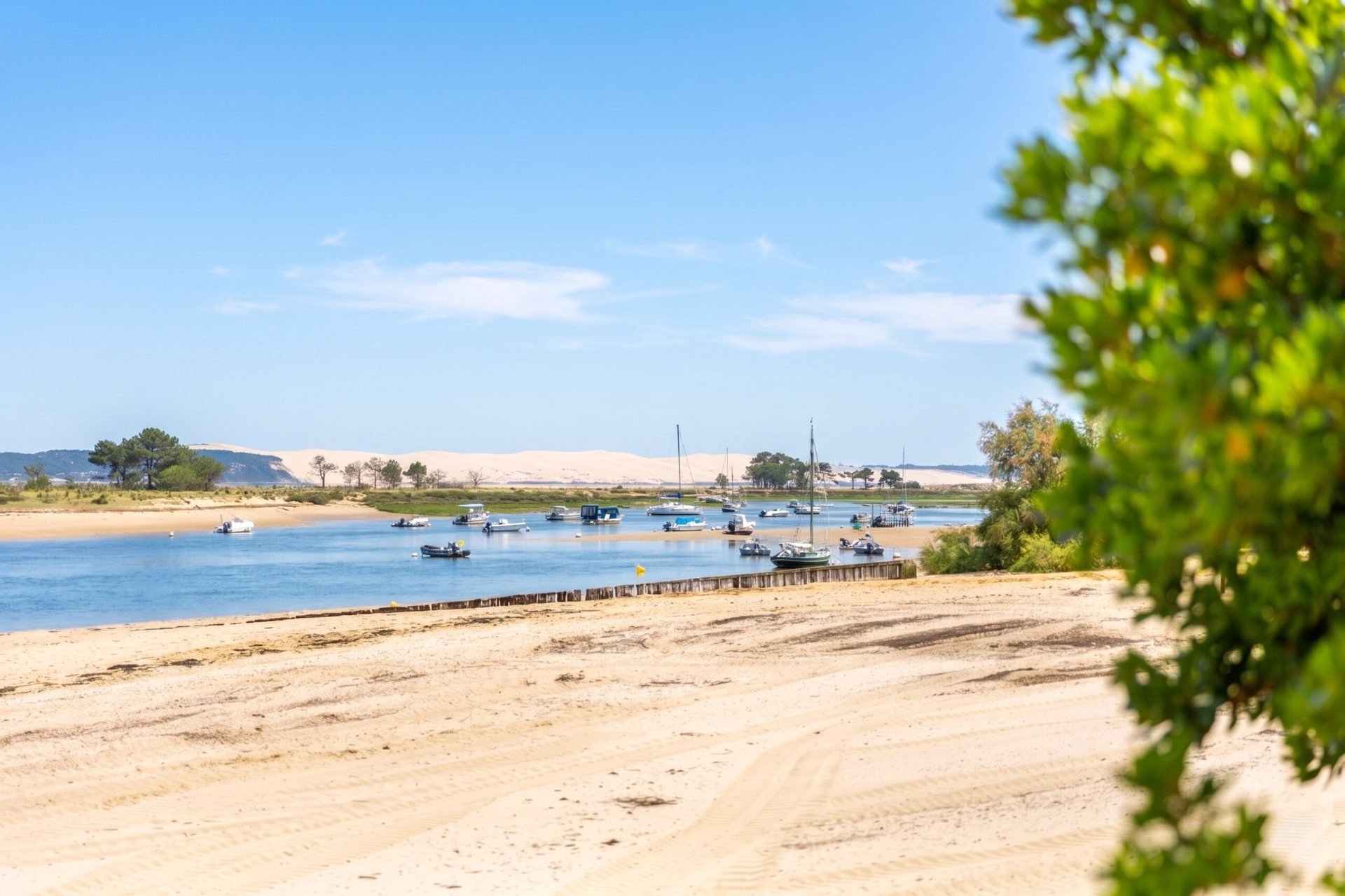 Maison à vendre, 140m², Le Cap-Ferret