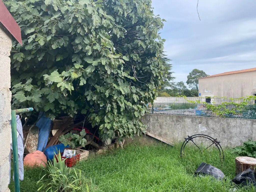 Maison à louer, 82m², Baillargues