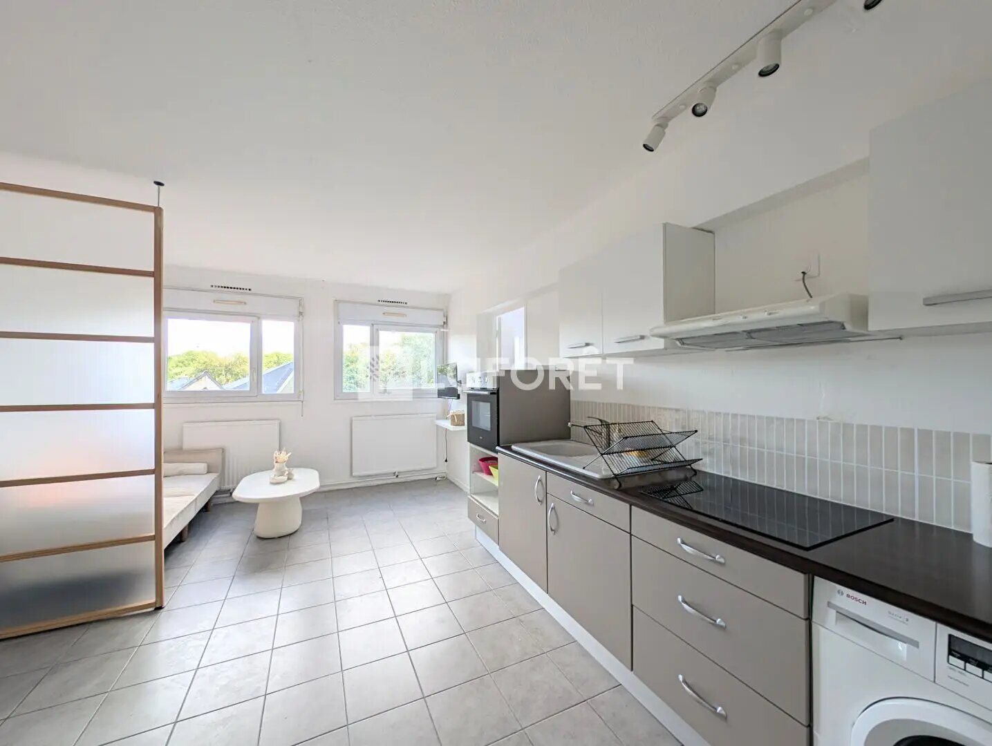 Appartement à louer, 39m², Grenoble