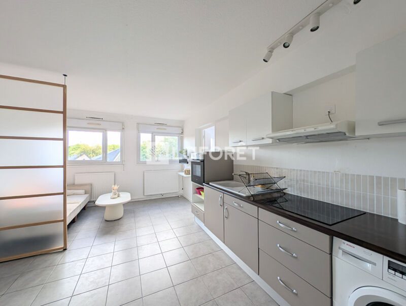 Appartement à louer, 39m², Grenoble