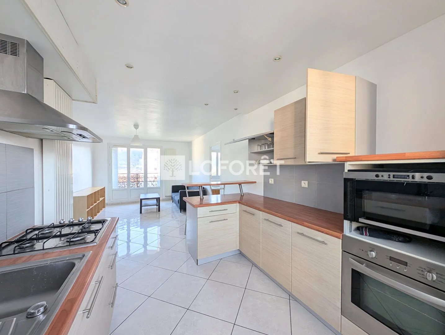 Appartement à louer, 52m², Saint-Martin-d'Hères
