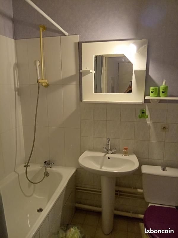 Appartement à louer, 19m², Nancy