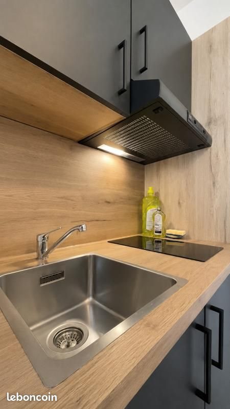 Appartement à louer, 20m², Nancy