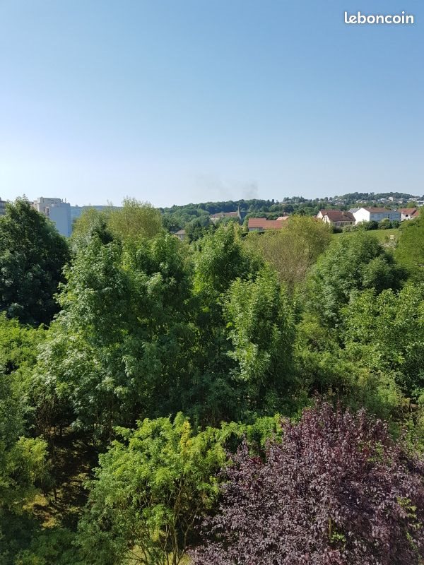 Appartement à louer, 49m², Laxou