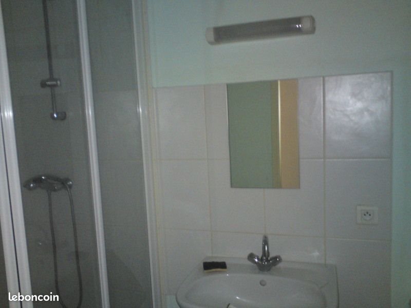 Appartement à louer, 26m², Nancy
