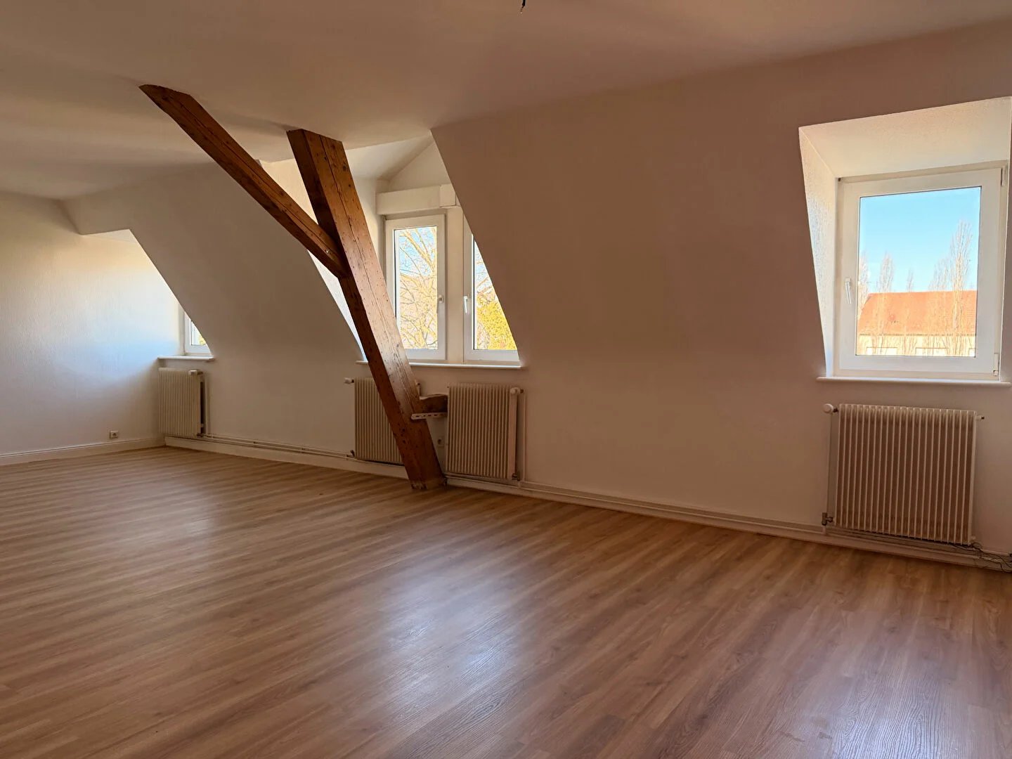 Appartement à vendre, 160m², Mulhouse