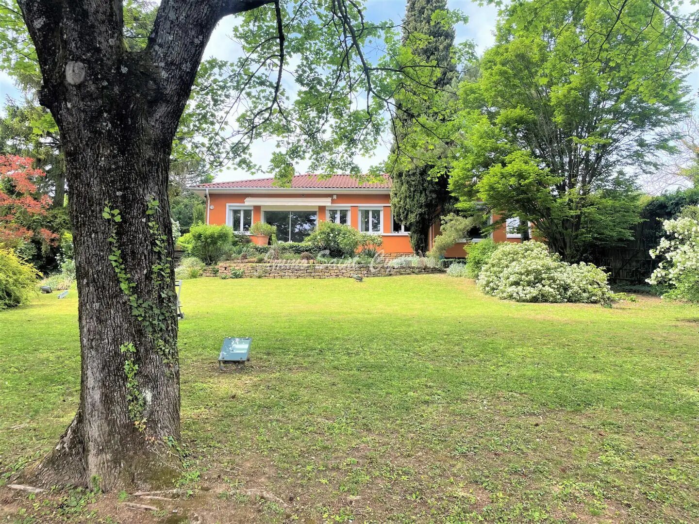 Maison à louer, 400m², Saint-Cyr-au-Mont-d'Or