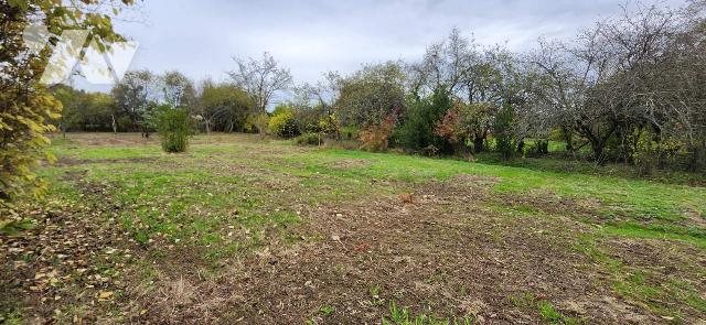 Maison à vendre, 106m², Loiré