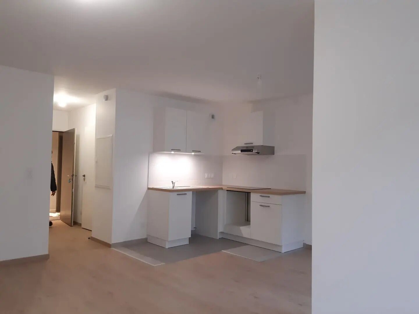 Appartement à louer, 48m², Lyon 8ème