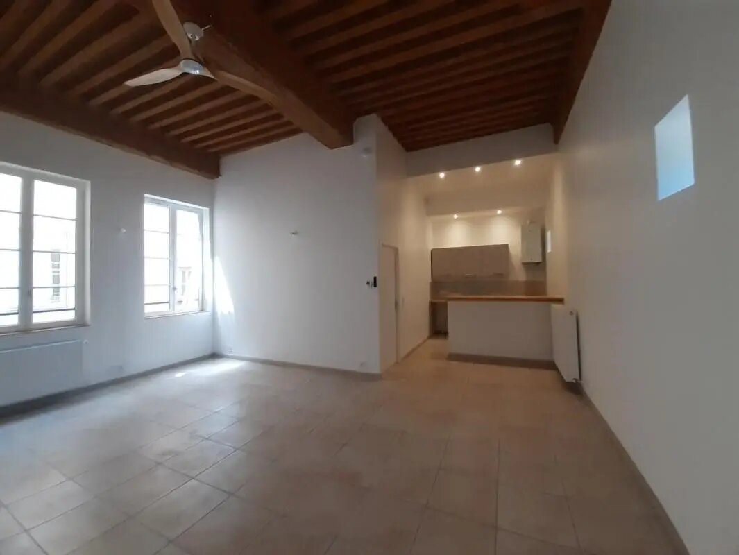 Appartement à louer, 55m², Lyon 1er