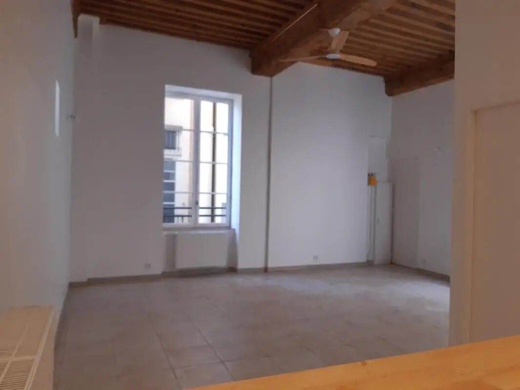 Appartement à louer, 55m², Lyon 1er