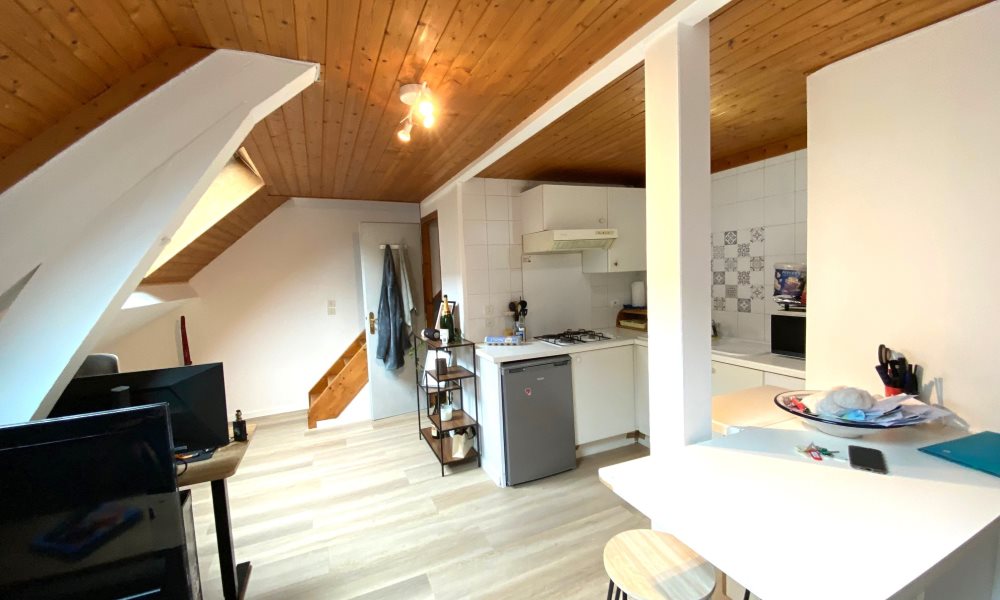 Appartement à vendre, 41m², Annecy