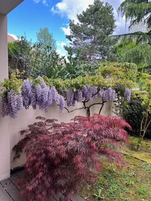 Appartement à vendre, 75m², Annecy-le-Vieux