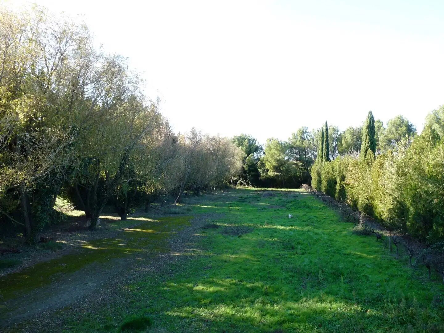Maison à vendre, 161m², Tarascon