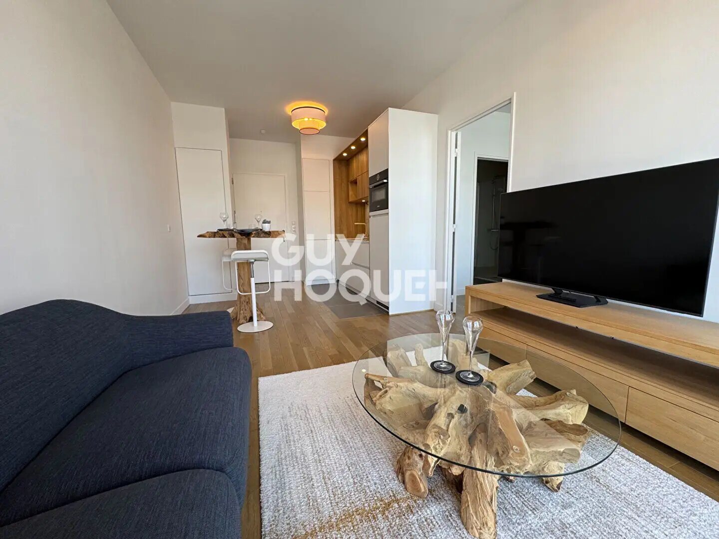 Appartement à louer, 40m², Issy-les-Moulineaux