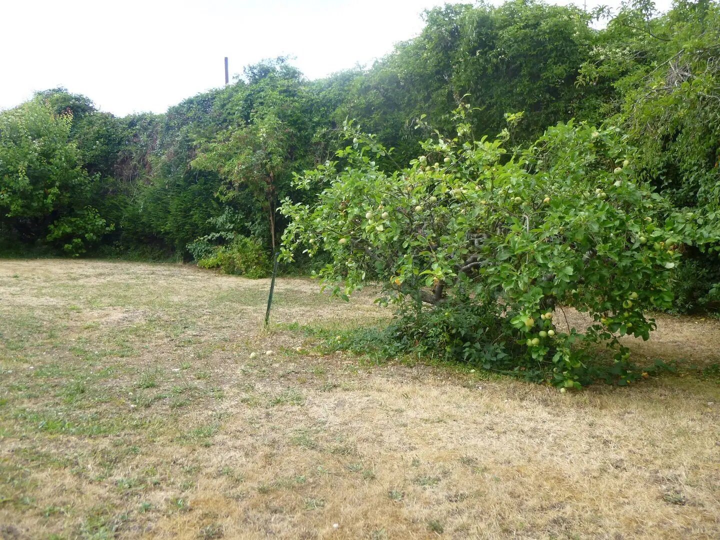 Maison à louer, 147m², Pontoise