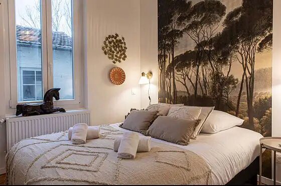 Appartement à louer, 28m², Vénissieux