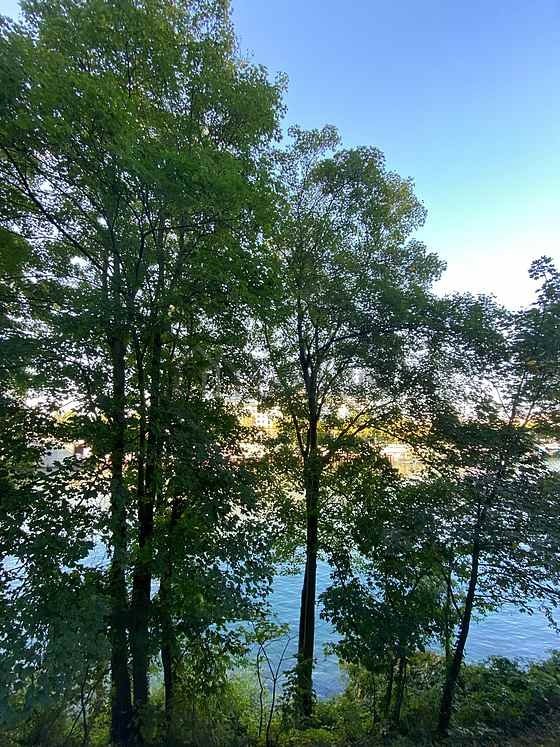 Appartement à louer, 35m², Issy-les-Moulineaux