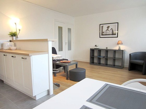 Appartement à louer, 46m², Paris 15ème