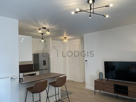 Appartement à louer, 47m², Issy-les-Moulineaux