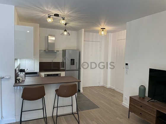 Appartement à louer, 47m², Issy-les-Moulineaux