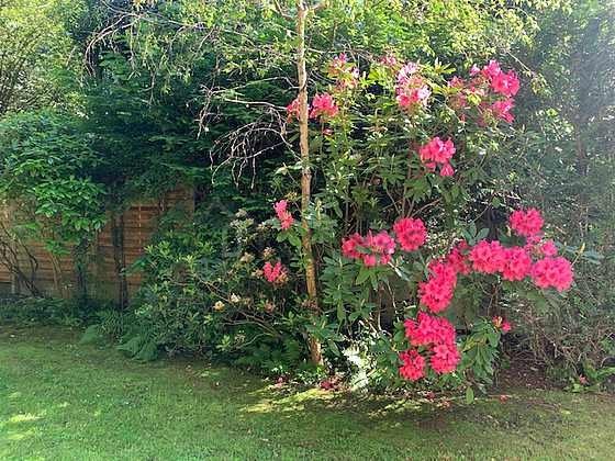 Appartement à louer, 140m², Neuilly-sur-Seine