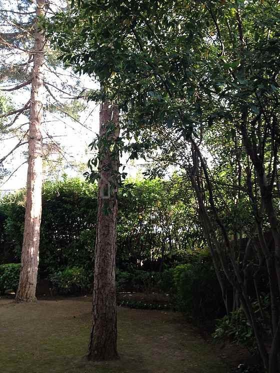 Appartement à louer, 140m², Neuilly-sur-Seine