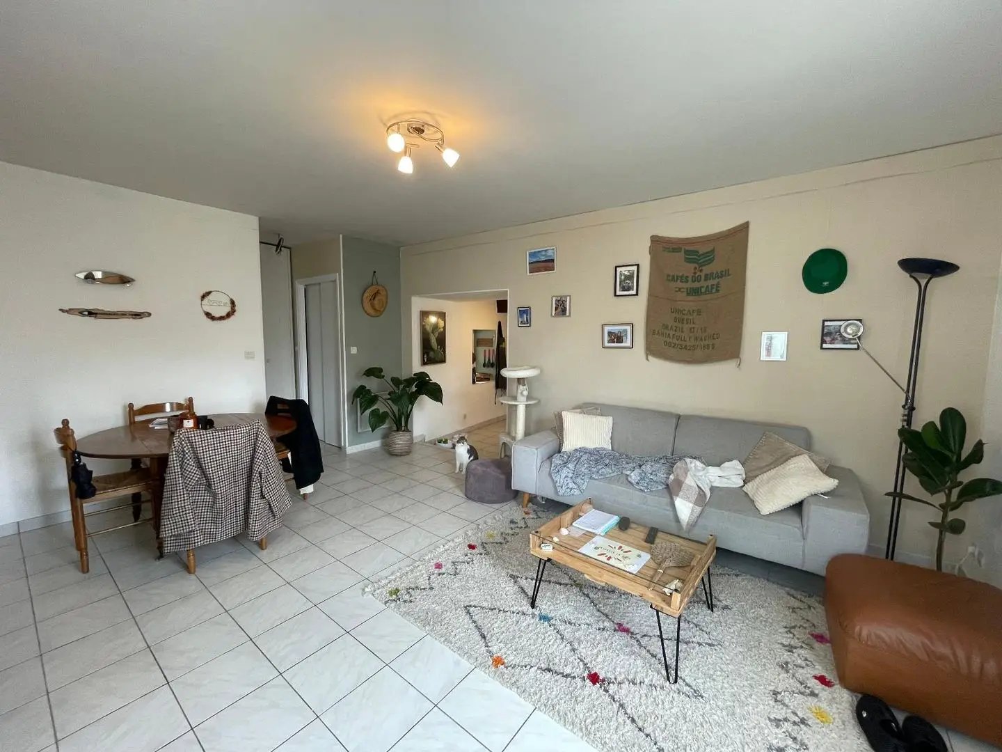 Maison à louer, 60m², Saint-Lambert-la-Potherie