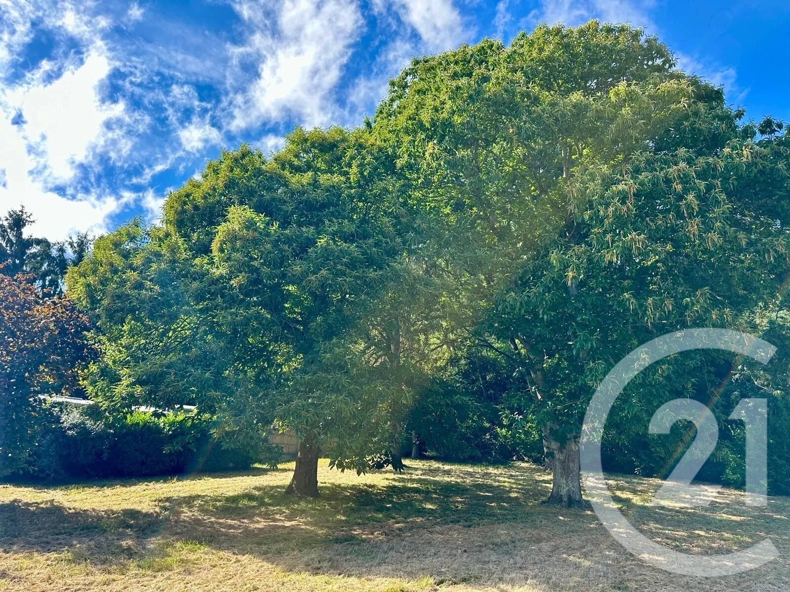 Maison à vendre, 87m², Lécousse