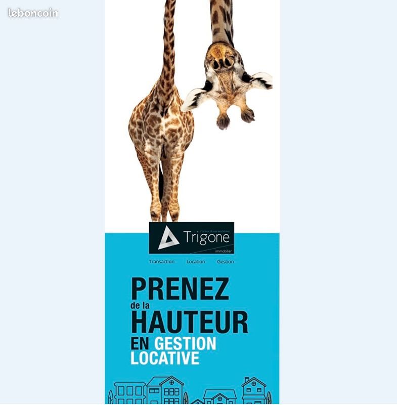 Appartement à louer, 19m², Armentières