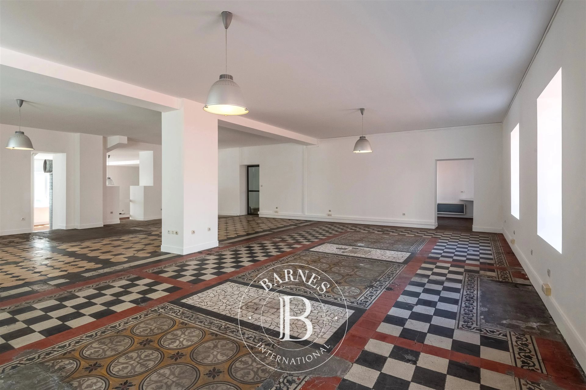 Appartement à vendre, 244m², Lyon 7ème