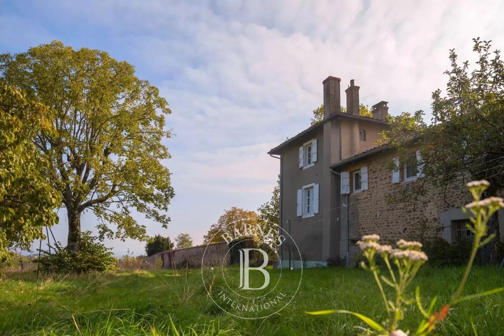 Maison à vendre, 428m², Villié-Morgon
