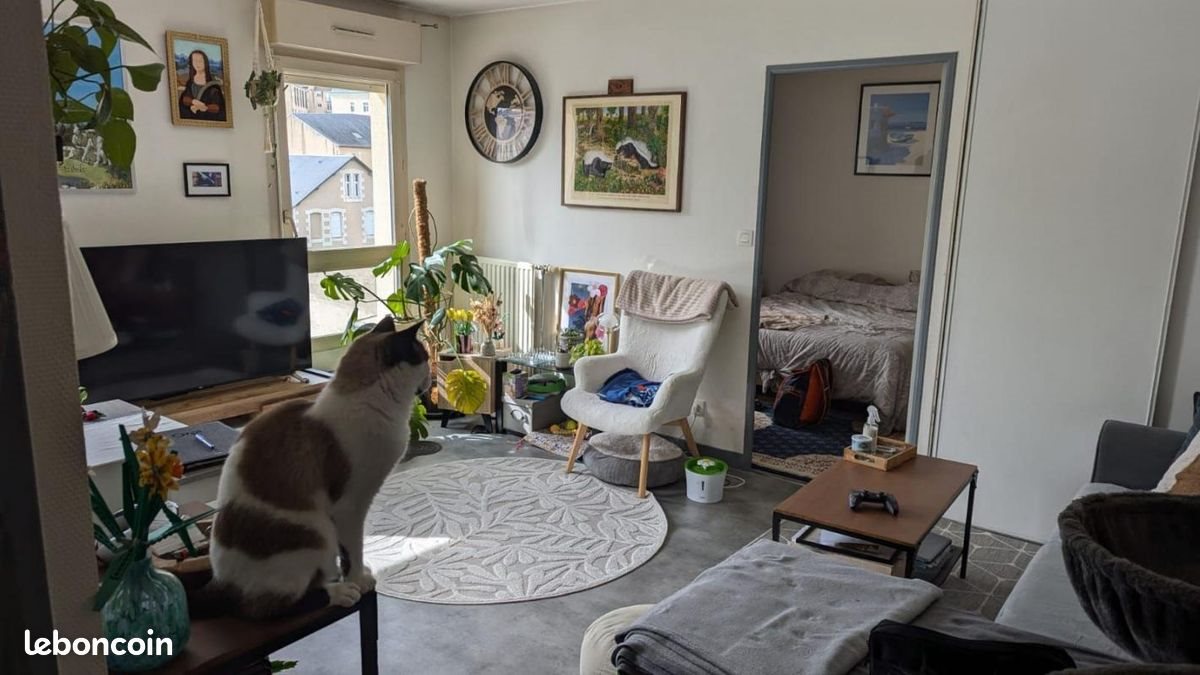 Appartement à louer, 42m², Poitiers
