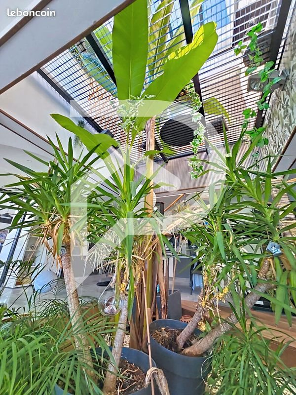 Maison à vendre, 250m², Colomiers