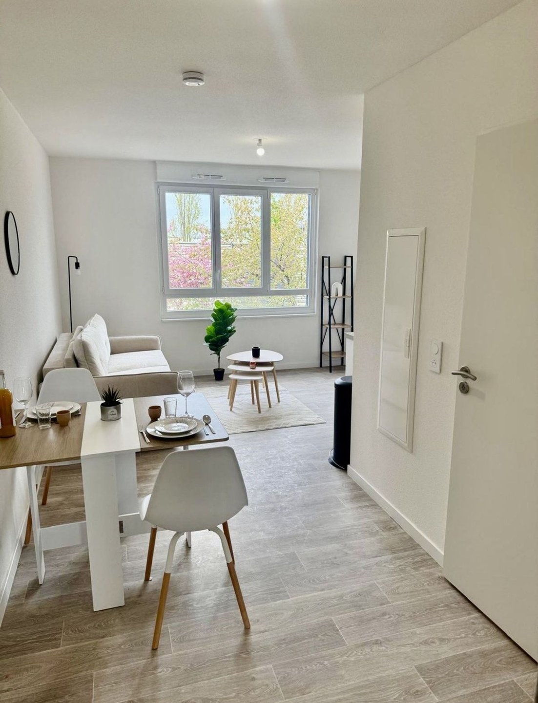 Appartement à vendre, 19m², Schiltigheim