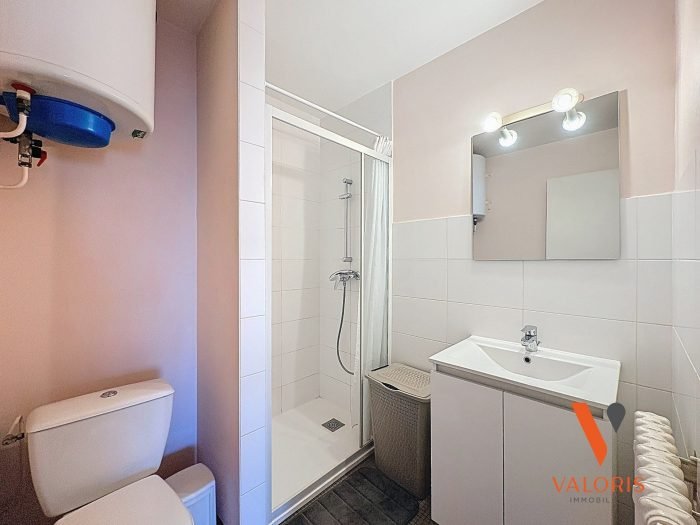 Appartement à louer, 50m², Grenoble