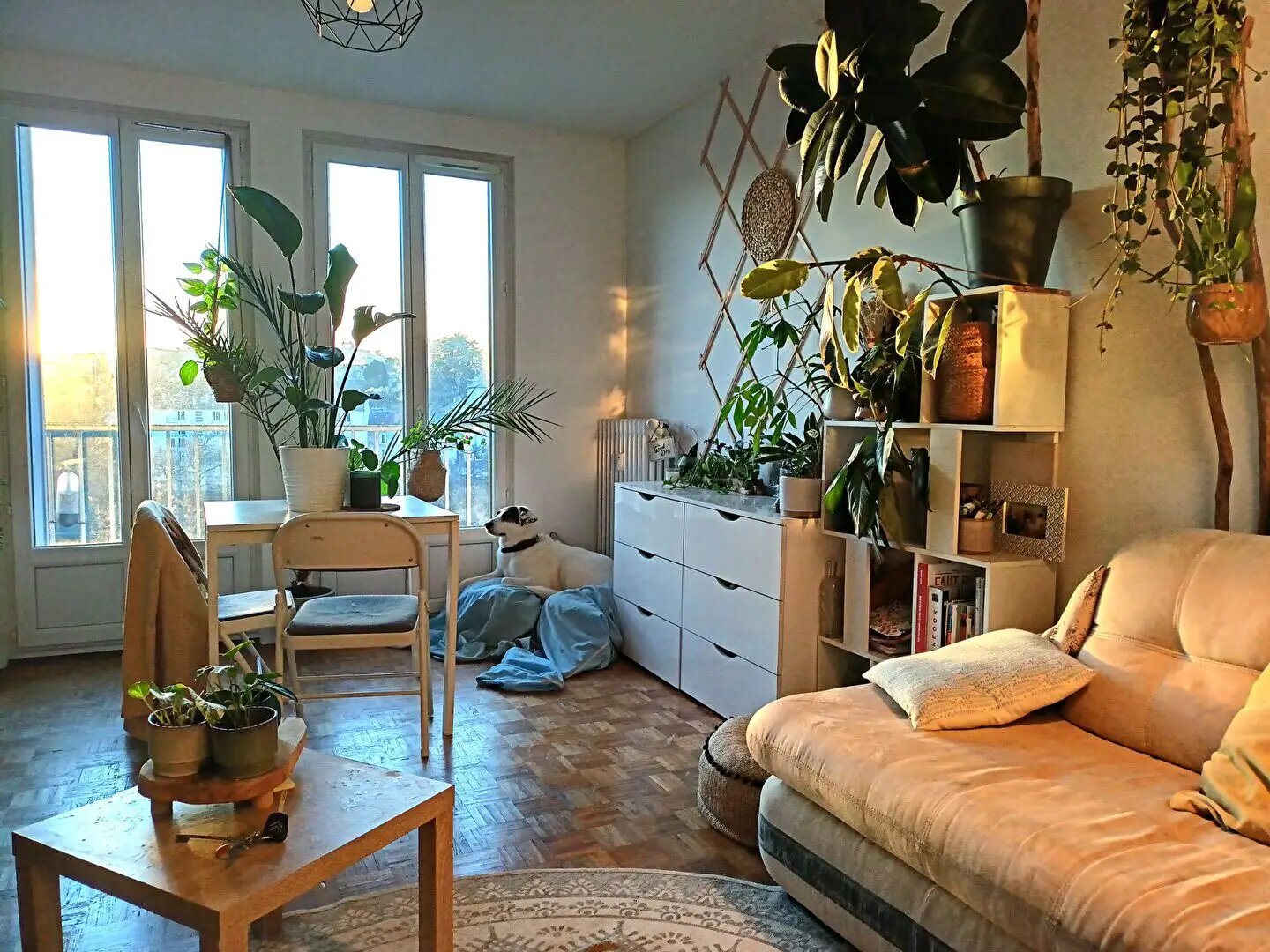 Appartement à louer, 40m², Limoges
